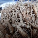 춘길농장 이미지