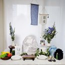 참좋은세상 | 백일상대여로 완성한 셀프 100일상 🎉 THE채움 백일상차림 솔직후기