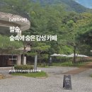 카페숲 이미지