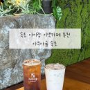 엔젤애견 수족관 화원 | 속초 아이랑 가볼만한 곳 아쿠아숲 속초