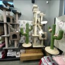 개밥하우스 이미지