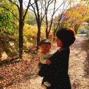 391 스테이 이미지