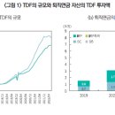 사전지정운용제도와 TDF의 성장 이미지