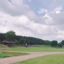 부소산칼국수