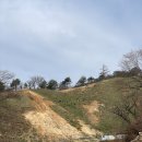 대관령사슴목장 이미지