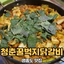 청춘꿀벅지닭갈비 - 파주시 시청로 14 | 청춘꿀벅지닭갈비
