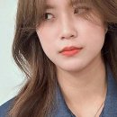 정자 반려견 | 정자역미용실 중에서 완전 추천하는 이가자헤어비스 분당이마트점 후기 알려줄게요