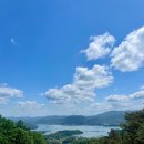 호정커피숍 이미지