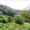 용암면사무소 앞 이미지