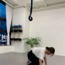 필라피지오밸런스 네이버블로그