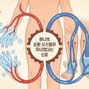 세란온누리약국 네이버블로그