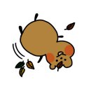 레푸스&아트포레 이미지