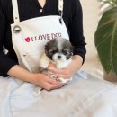 연우메디칼 이미지