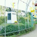 설창수 선생 이미지