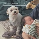 복지로 | 복지로 산후도우미 신청 방법 &amp; 사용 후기(사실혼/남양주 금쪽이케어)