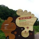 월평공원 습지길 이미지