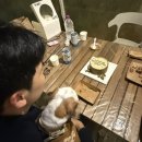 츄츄(chu chu) | 내돈내산 대전근교 세종 야외 바베큐 노릇노릇 솔직후기 (반려동물가능, 기념일 추천)