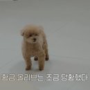 신림반점 이미지