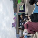 새들의 정원 | &#34;새들의 천국, 가평 베고니아 새정원에서 보내는 특별한 주말!&#34;