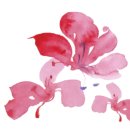 모리꼬네전 「엔니오 모리꼬네 시네마 콘서트」 이미지