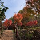 원주굽이길 4코스 치악산바람길 | 원주굽이길 4코스 치악산바람길(반곡역-우산동한라비발디)