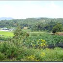 천지인주유소 이미지