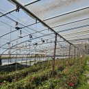 예우농장 이미지