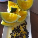 거리농장 이미지