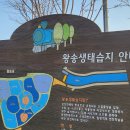 세븐일레븐 의왕레솔레파크점 이미지