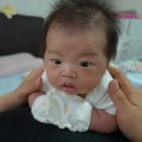 (주)준모 이미지