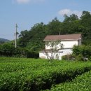 월출산방 이미지