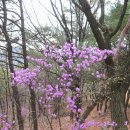 홍은2동 주민센터 | 서울성곽과 강북4산(백련산, 안산, 인왕산, 북악산)연계 산행후기