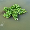 반월호수둘레길 화장실 이미지