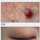 마법의약국 티스토리