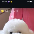 단양온달 축제10/5일날 이미지