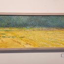 노바운더리 이미지