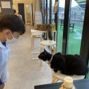 별이랑 놀자 이미지