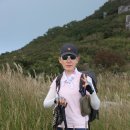상상수목원 이미지