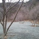 그린오토 이미지