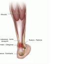 삼삼한의원 이미지