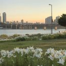 너를 위한 우주 이미지