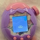 게임파라다이스 | 파라다이스 다마고치 드라이버가 없다면? 후기 컬러별 차이점 + 게임 설명까지!