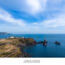섭지코지 티스토리