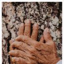 건성(주) 이미지