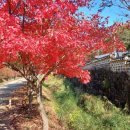 청룡사 등산로 이미지