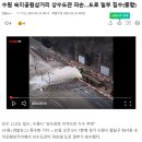 숙지공원 삼거리2 이미지