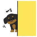 톰과제니 동물메디컬센터 이미지