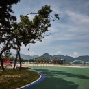 자라섬캠핑장 중도-1 이미지