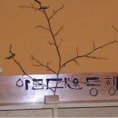 열린가족조산원 이미지