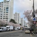 국민체육센터 푸드트럭 앞 네이버블로그